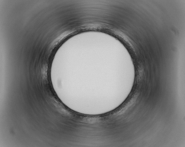 X0000112750778200910011153