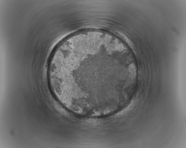 X0000112750779200910011153