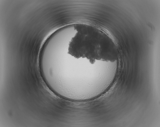 X0000112750780200910011153