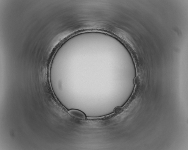 X0000112750781200910011153