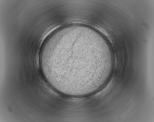 X0000112750782200910011153