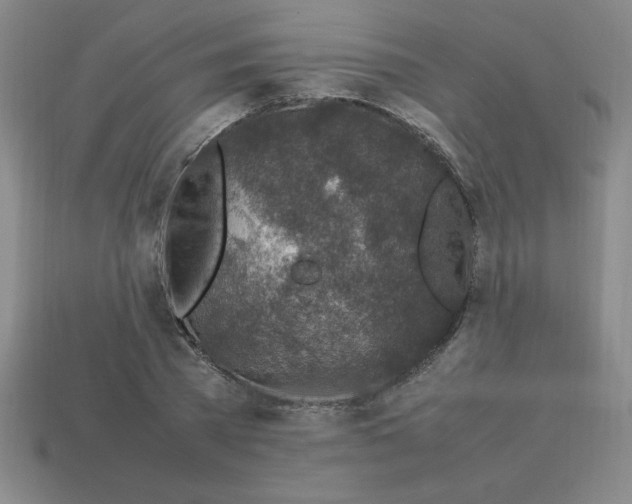 X0000112750785200910011153