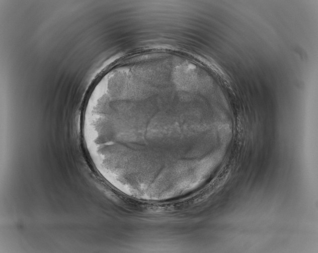 X0000112750790200910011153