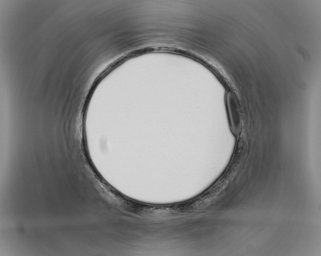 X0000112750791200910011153