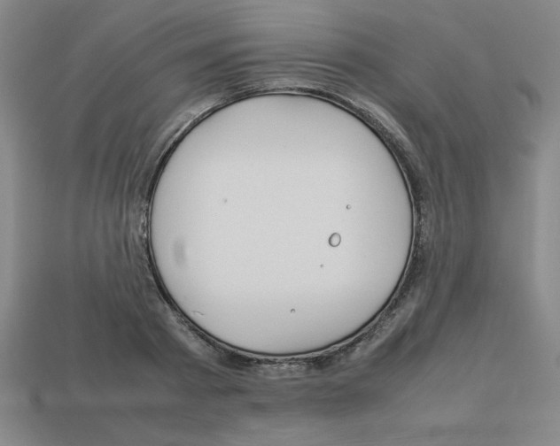 X0000112750793200910011153