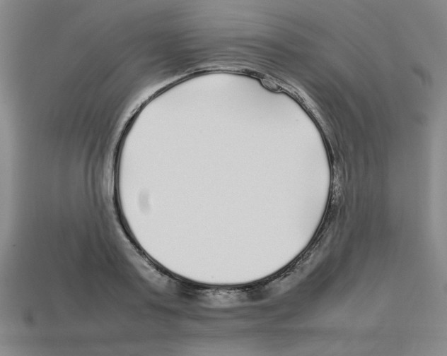 X0000112750795200910011153