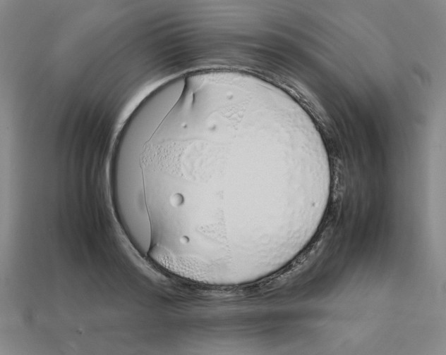 X0000112750796200910011153