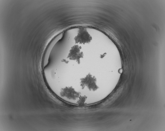 X0000112750797200910011153