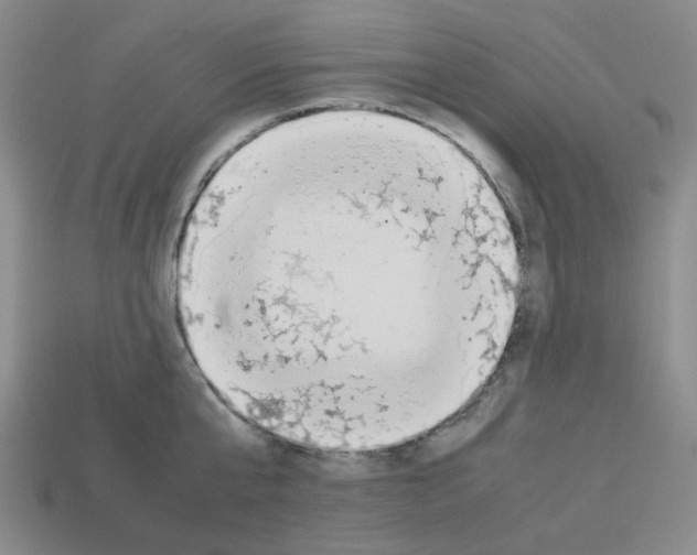 X0000112750807200910011153