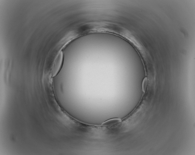 X0000112750809200910011152