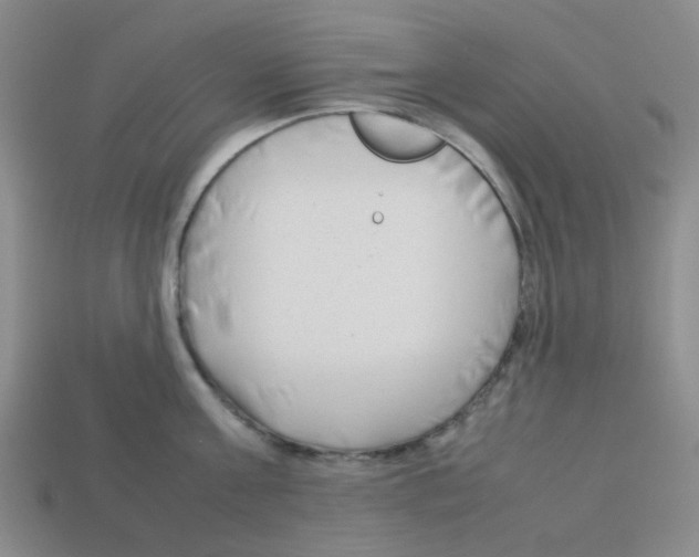 X0000112750811200910011152