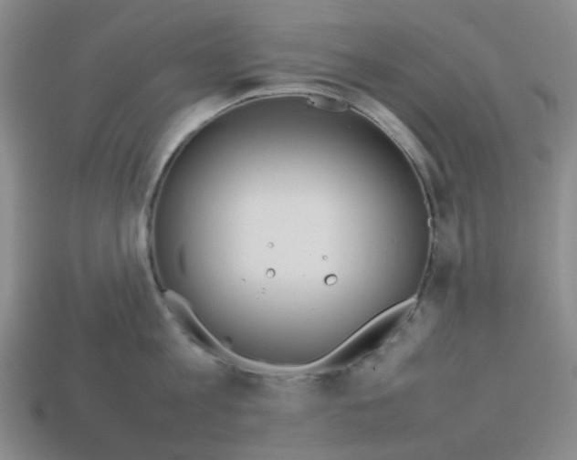 X0000112750813200910011152