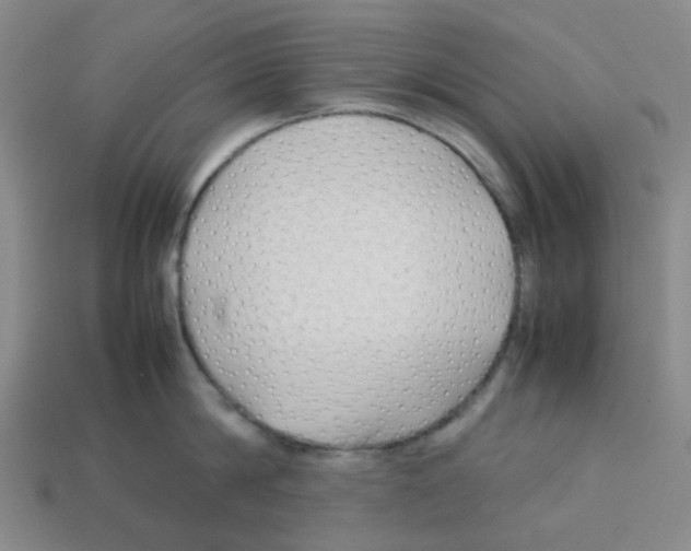 X0000112750814200910011152