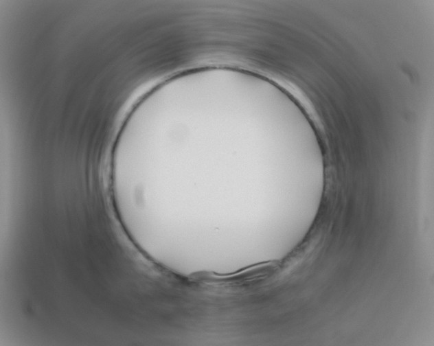 X0000112750815200910011152