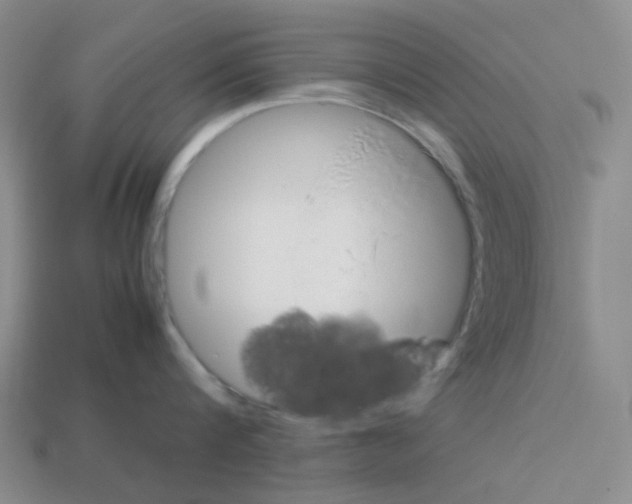 X0000112750816200910011152