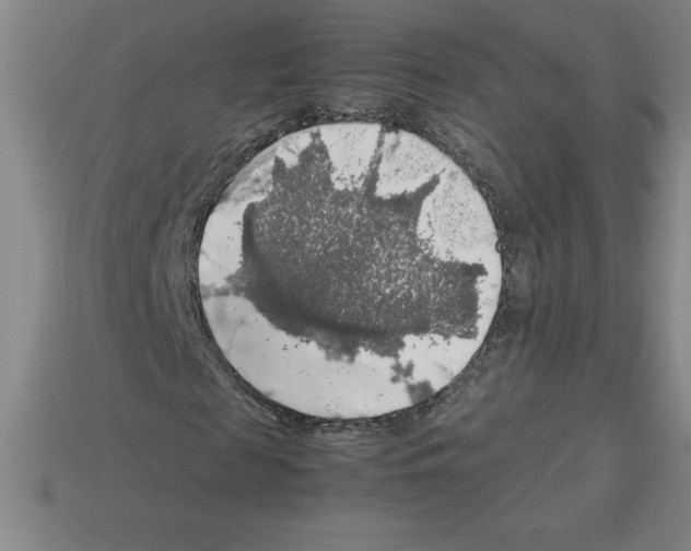 X0000112750817200910011152