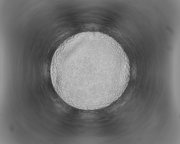 X0000112750819200910011152