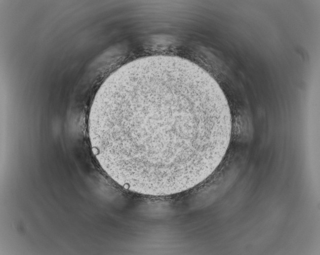 X0000112750820200910011152