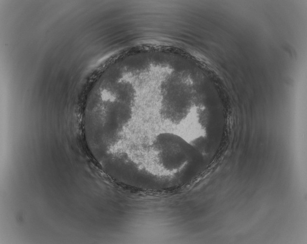 X0000112750822200910011152