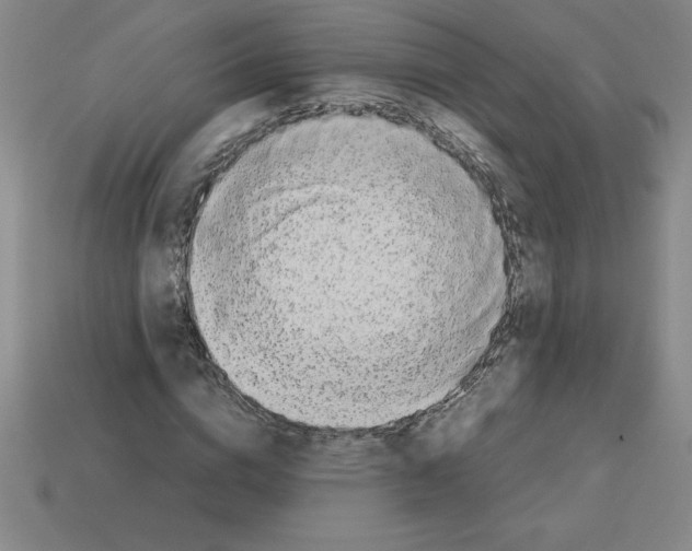 X0000112750824200910011152