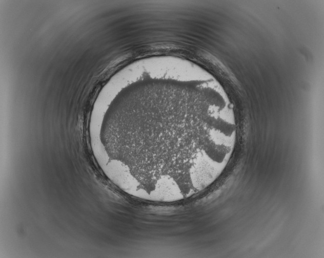 X0000112750825200910011152