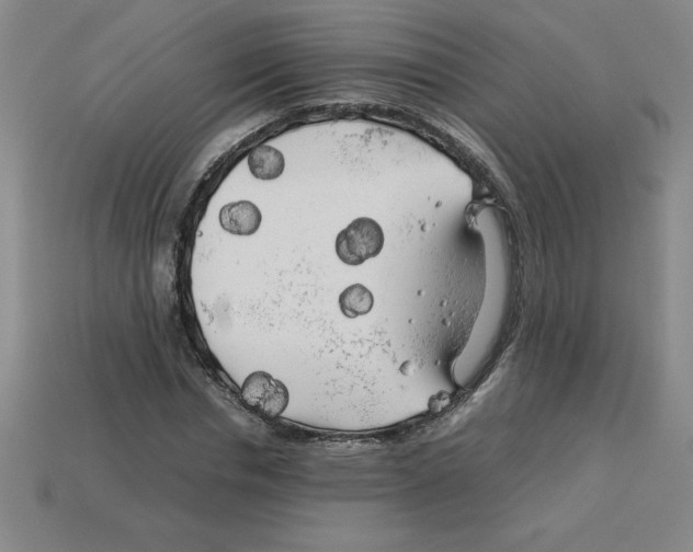 X0000112750826200910011152