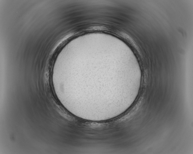 X0000112750827200910011152