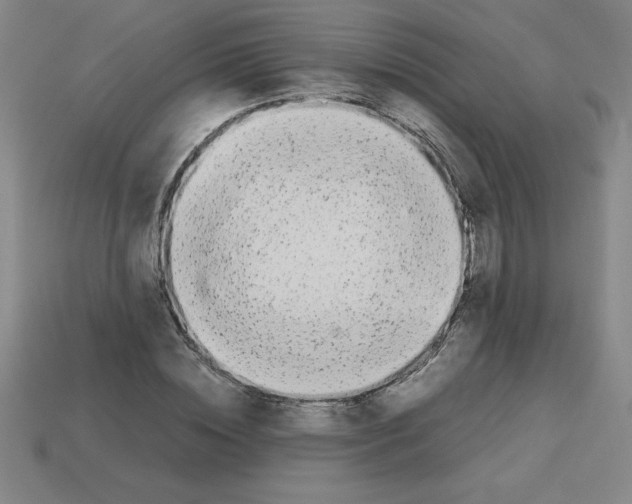 X0000112750828200910011152