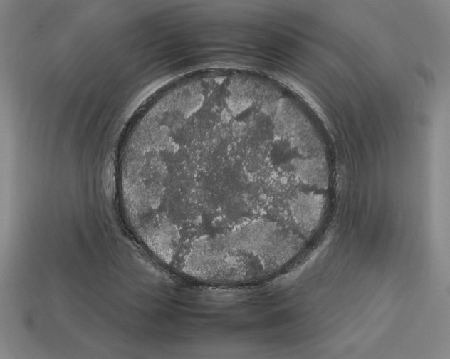 X0000112750829200910011152