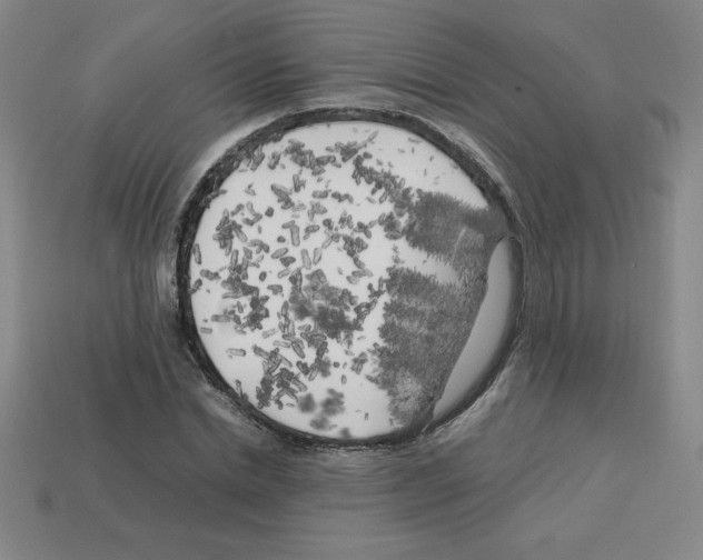 X0000112750830200910011152