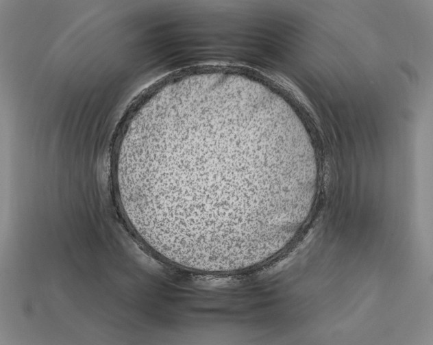 X0000112750831200910011152