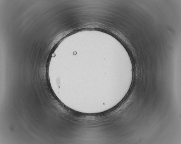 X0000112750834200910011152