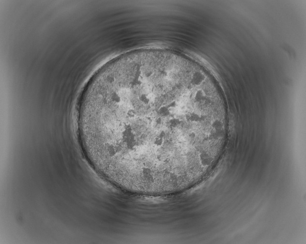 X0000112750835200910011152