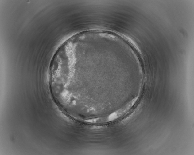 X0000112750839200910011152