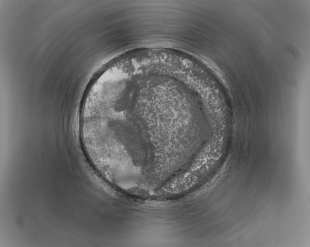 X0000112750840200910011152