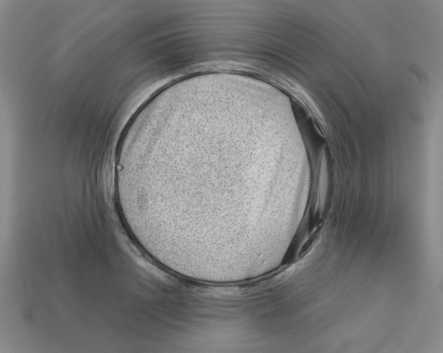 X0000112750844200910011152