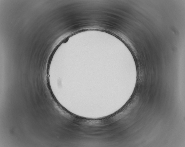 X0000112750845200910011152