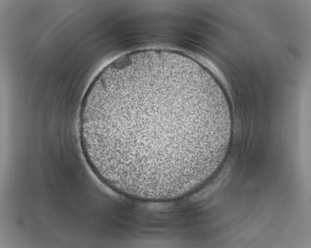 X0000112750847200910011152