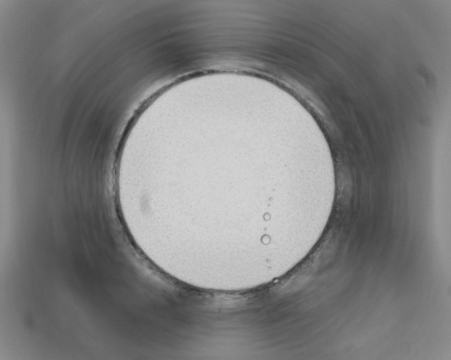 X0000112750848200910011152