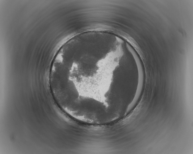 X0000112750850200910011152