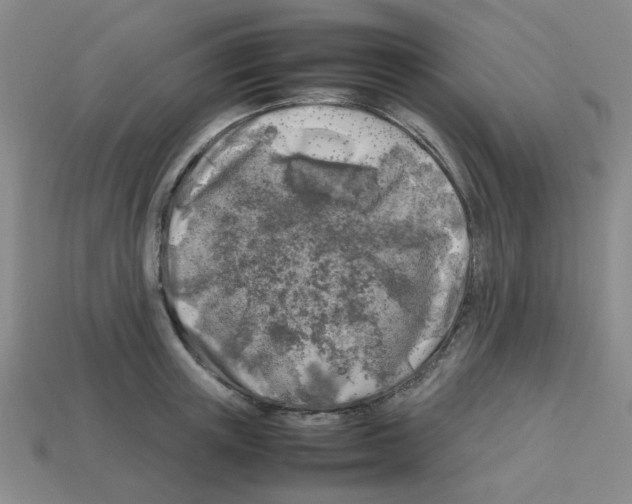 X0000112750851200910011152