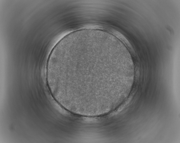 X0000112750852200910011152