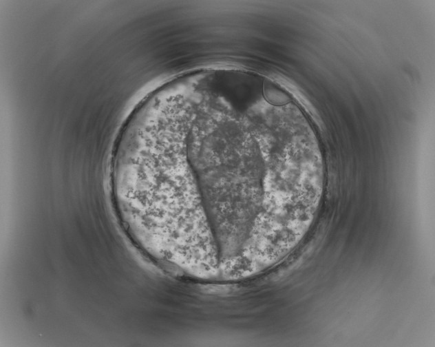 X0000112750853200910011152