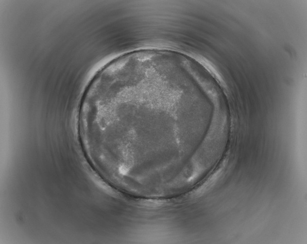 X0000112750854200910011152