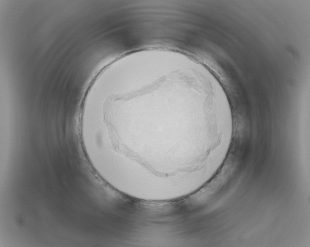 X0000112750856200910011152