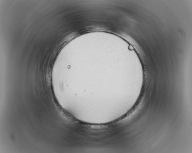 X0000112750857200910011152