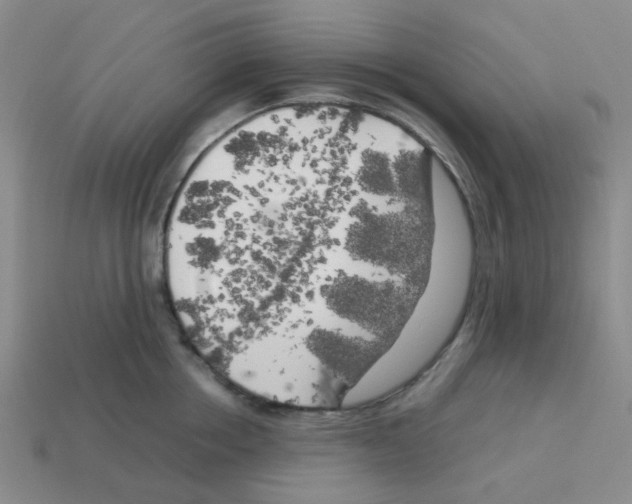 X0000112750858200910011152