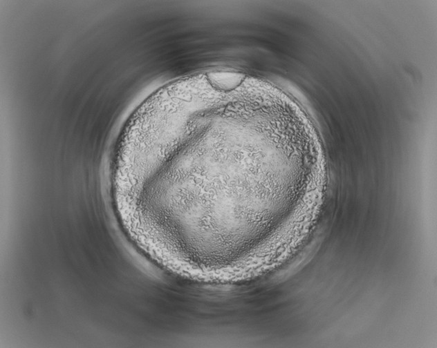 X0000112750859200910011152