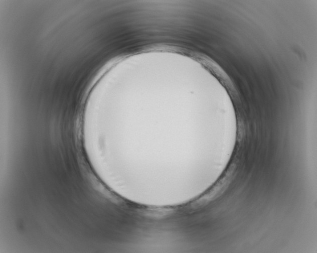 X0000112750860200910011152