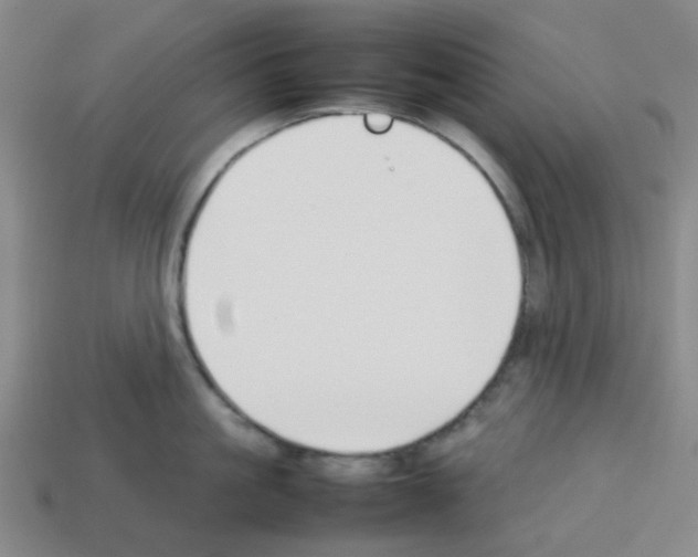 X0000112750861200910011152